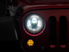 RAX LED Headlights Raxiom