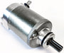 Starter Motor RICKS