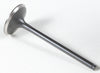 Black Diamond Intake Valve KPMI