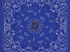 Bandanna Navy Paisley ZAN