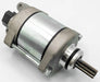 Starter Motor RICKS