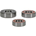 Wheel Bearing Kit Premium PIVOT WORKS