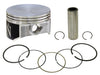 Piston Kit 81.96/Std Kaw NAMURA