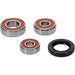 Wheel Bearing Kit Premium PIVOT WORKS