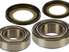 Steering Bearing/Seal Kit ALL BALLS