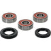 Wheel Bearing Kit Premium PIVOT WORKS