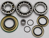 Differential Bearing And Seal Kit ALL BALLS