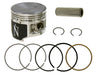 Piston Kit 49.5/+0.50 9.0:1 Yam NAMURA