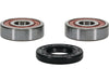 Wheel Bearing Kit Premium PIVOT WORKS