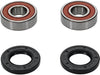 Wheel Bearing Kit Premium PIVOT WORKS