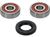 Wheel Bearing Kit Premium PIVOT WORKS